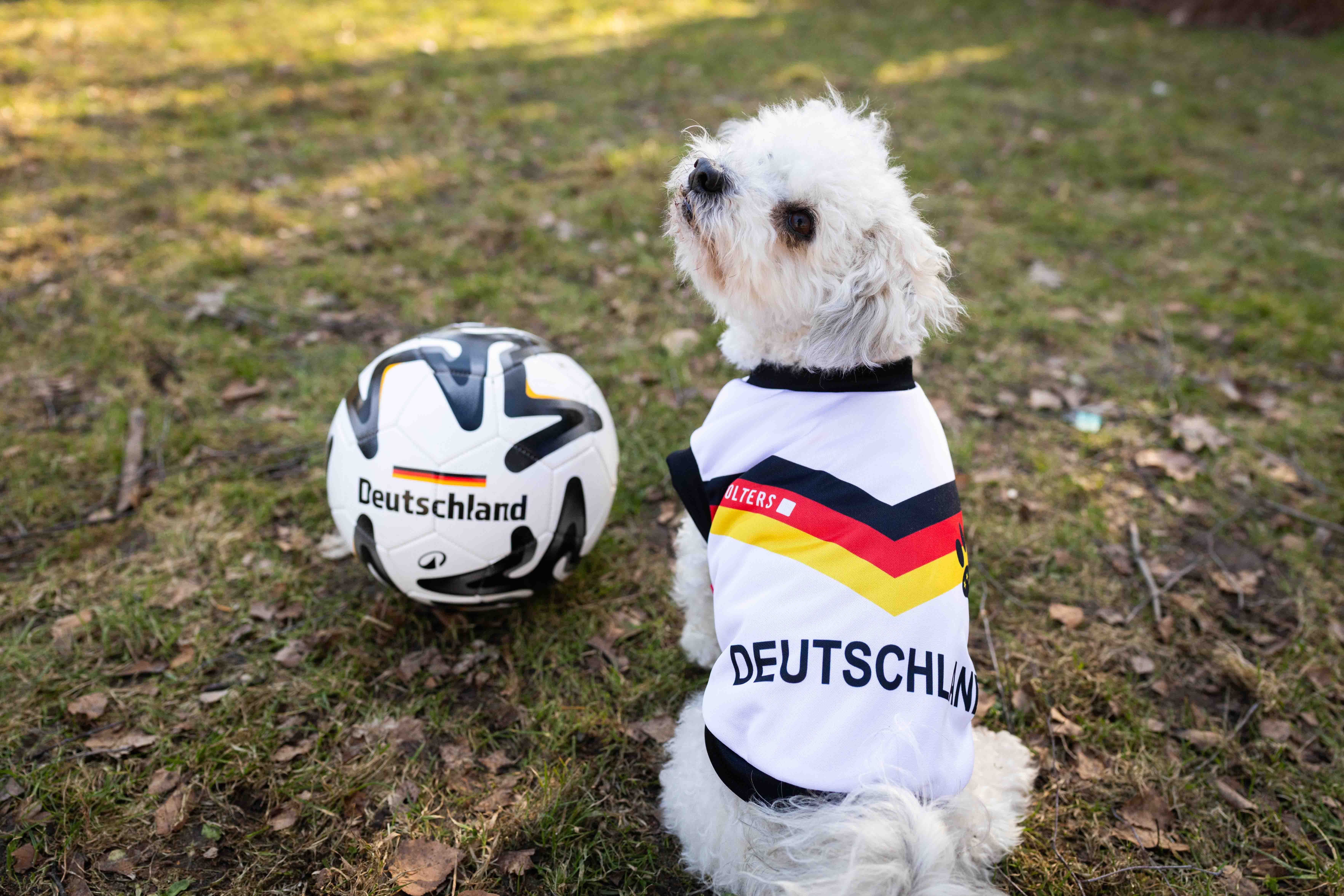 Deutschland-Trikot